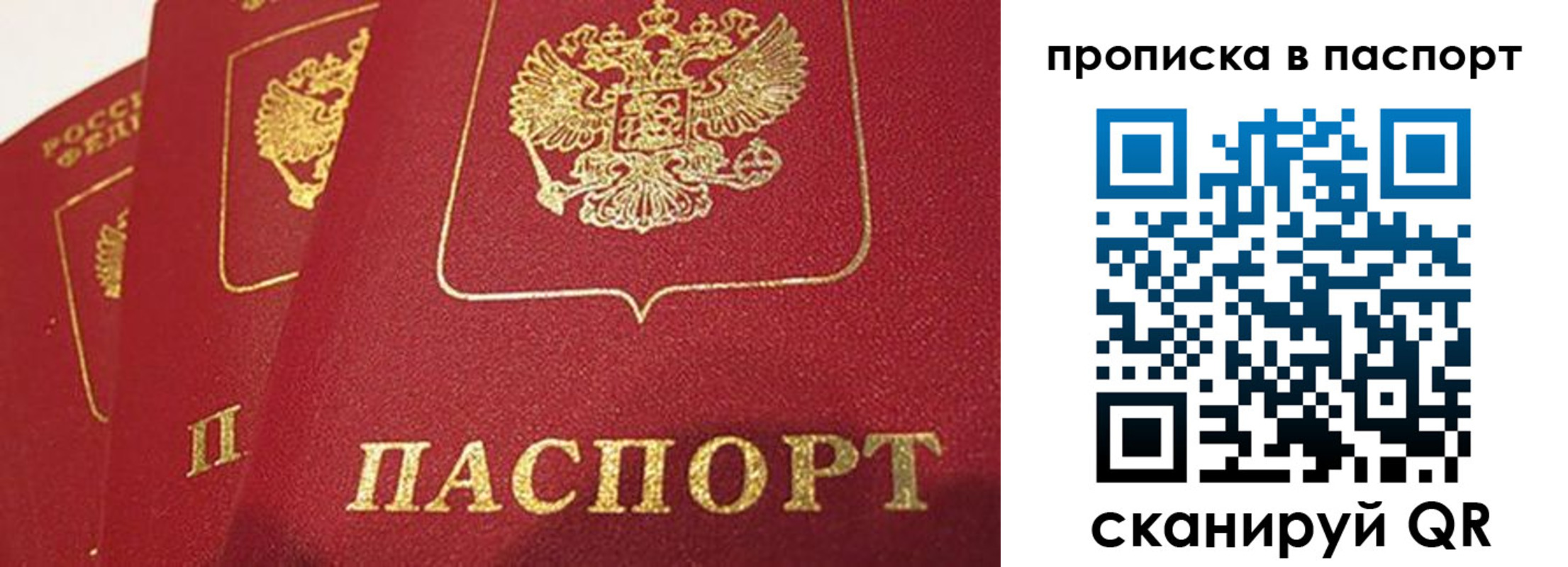 прописка гарантия в Вязниках